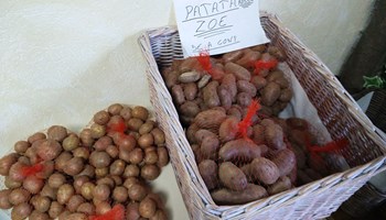 1100 patate.jpg