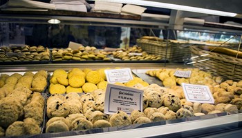 IMG_2057 IMG_2057.jpg