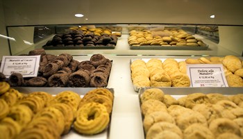 IMG_2068 IMG_2068.jpg