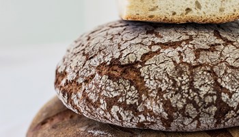 IMG_2116 IMG_2116.jpg