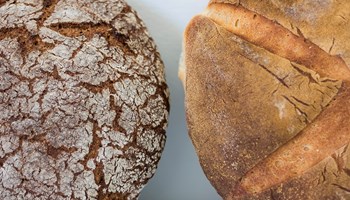 IMG_2128 IMG_2128.jpg