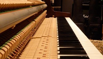 P1060718_1 P1060718_1.jpg