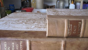 restauro4 restauro4.jpg