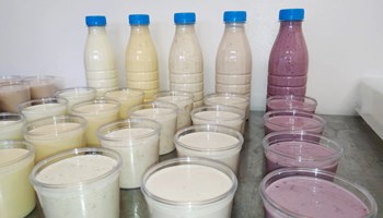 yogurt artigianali.jpg