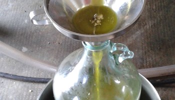 1200 olio4.jpg
