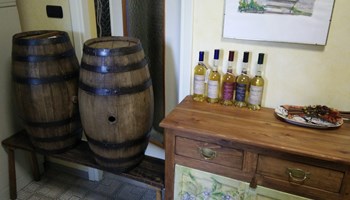 IMG_20170623_113151 IMG_20170623_113151.jpg