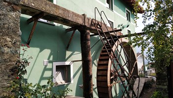 1200_ruota 1200_ruota.jpg