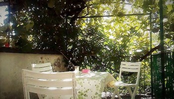 giardino.jpg