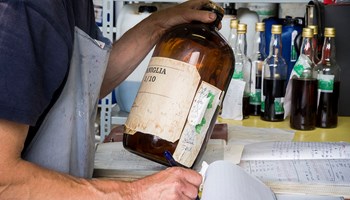 registri2 registri2.jpg