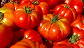 pomodori.jpg