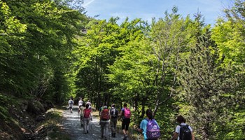 DSCN0703 DSCN0703.jpg