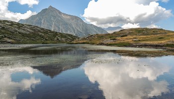 DSCN1238 DSCN1238.jpg