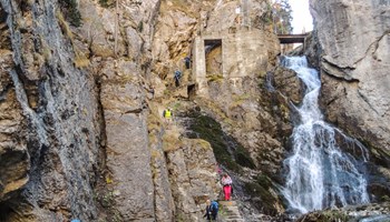 DSCN1272 DSCN1272.jpg