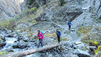 DSCN1273 DSCN1273.jpg