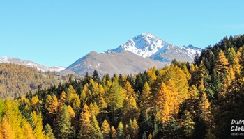 DSCN1276 DSCN1276.jpg