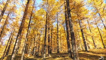 DSCN1333 DSCN1333.jpg