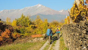 DSCN1391 DSCN1391.jpg