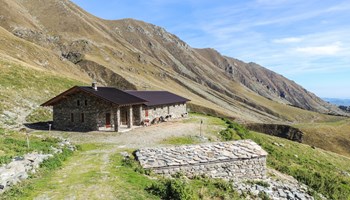 DSCN2315 DSCN2315.jpg