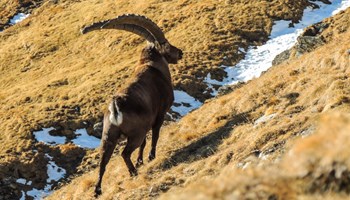 DSCN4381 DSCN4381.jpg