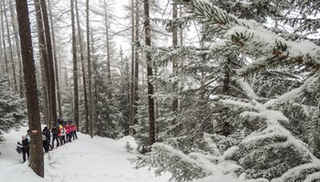 DSCN6044 DSCN6044.jpg