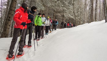 DSCN6080 DSCN6080.jpg