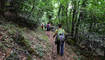 Passeggiata Passeggiata.jpg