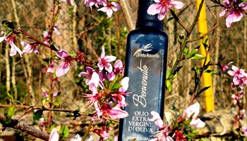 VISITA OLIVETO ROSSETTO E DEGUSTAZIONE OLIO EXTRAVERGINE