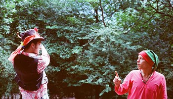 sam2 BOSCODELLEMERAVIGLIE