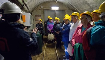 _DBS5006 ScopriMiniera