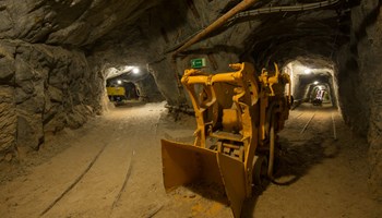 _DBS5850 ScopriMiniera