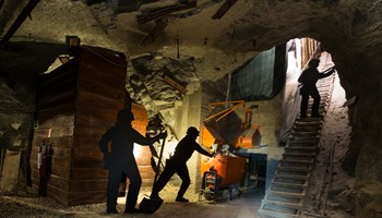 _DBS5912 ScopriMiniera