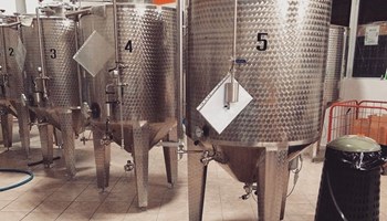 1000 birrificio2.jpg