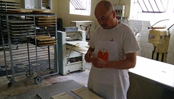 1100 rege 1100 rege.jpg