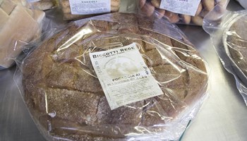 1100 torta 1100 torta.jpg