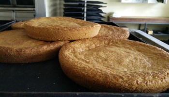 1100 torte3 1100 torte3.jpg