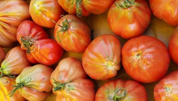 pomodori.jpg