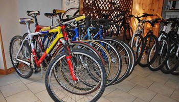 1000 Bici3 1000 Bici3.jpg