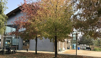 1100 esterno 1100 esterno.jpg