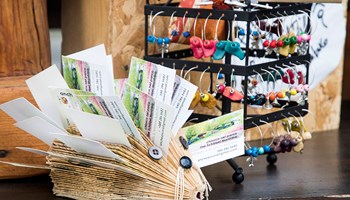 Anche Ancora riccio Anche Ancora riccio.jpg