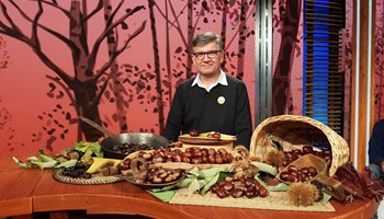 Paolo Chiaberto a Geo2 Paolo Chiaberto a Geo2.jpeg