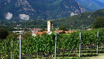 La Sagra del Baratuciat ad Almese dal 16 al 18 giugno 2023