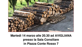 Un incontro sul Regolamento Europeo sul legno