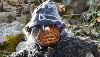 Il carnevale del Lajetto ritorna domenica 2 marzo
