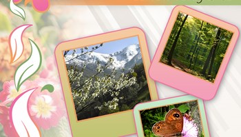 "Lu bo e la fejri", fiera agricola e forestale a Coazze