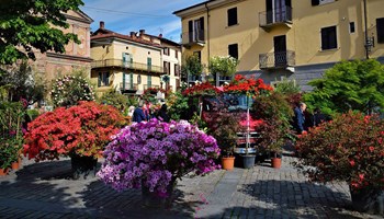 Domenica 10 maggio a giaveno ci sono "Maggionatura" e "GiaVINO"
