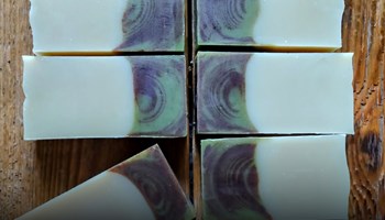 NODO PINEROLO: LABORATORI E MOSTRE DI MARZO