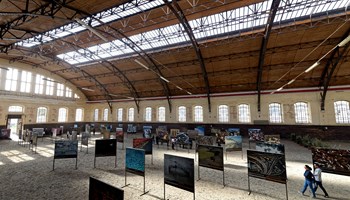 Cavallerizza Caprilli in occasione di una mostra Foto PineroloTurismo Cavallerizza Caprilli