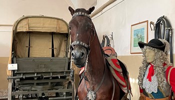 Museo storico dell’Arma di Cavalleria di Pinerolo