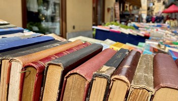 Giaveno, edizione straordinaria del Mercatino delle Pulci