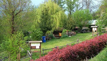 1100 parco1 Anche Ancora